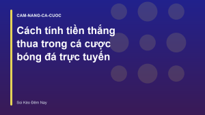 Read more about the article Cách tính tiền thắng thua trong cá cược bóng đá trực tuyến